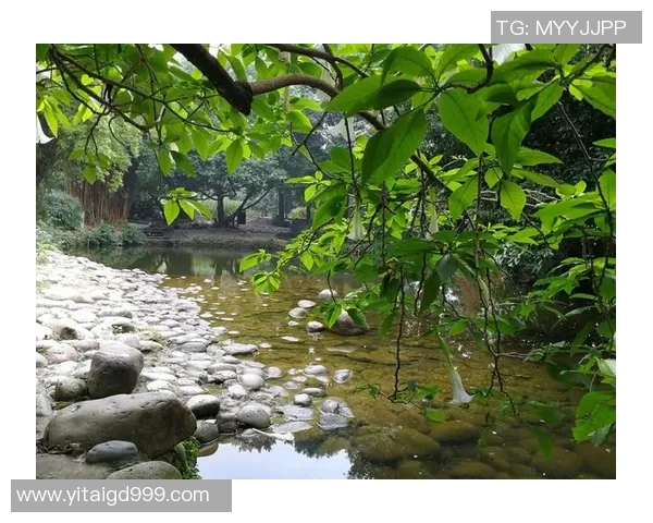 《足球明星变身街头流浪汉挑战极限生活的真实纪录片》 《足球明星变身街头流浪汉挑战极限生活的真实纪录片》